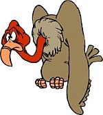 Pleitegeier Pleitegeier